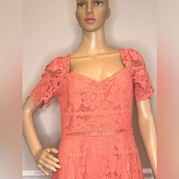 Saylor Louisa Lace Sweatheart Midi dress - Picture 5 of 8